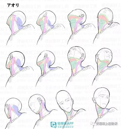 不會(huì)畫頭像？這100張高清素材趕緊收藏，平面設(shè)計(jì)必備！